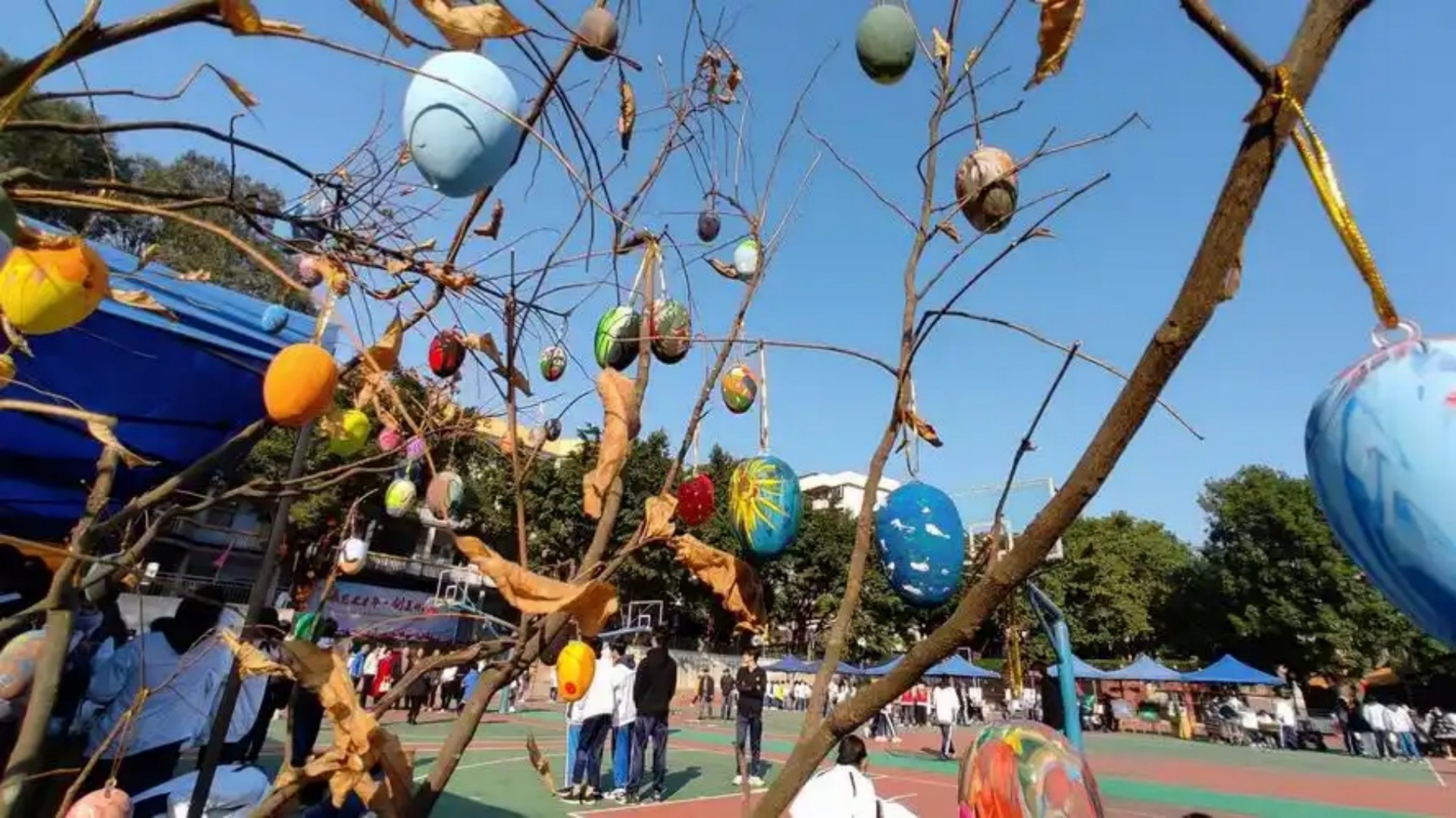 1766538984882904.jpg 44.jpg