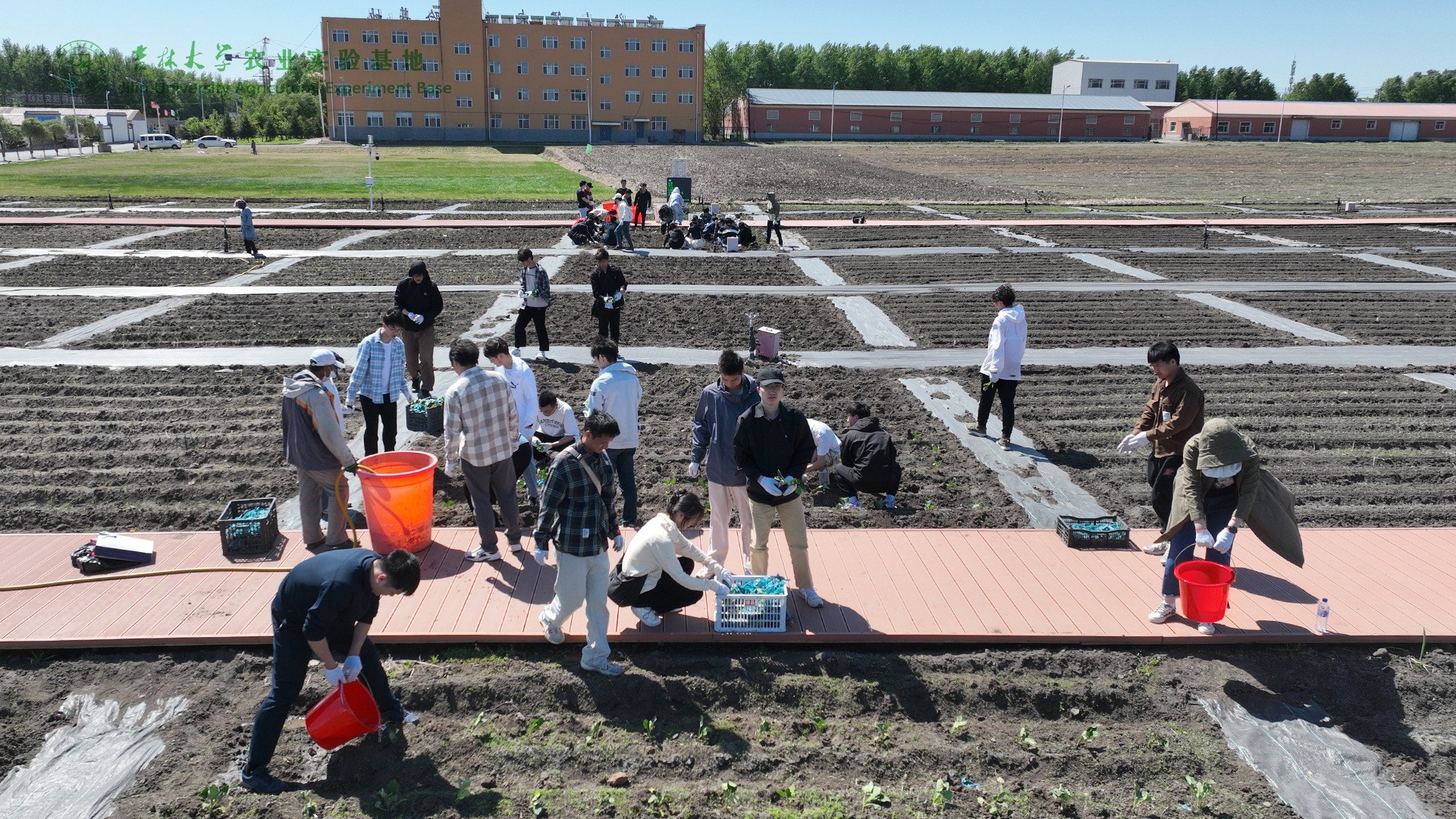 1768438192351654.jpg 8AE32D07B886AFECC2E214AC2E4_D58BF6BE_1115E0.jpg